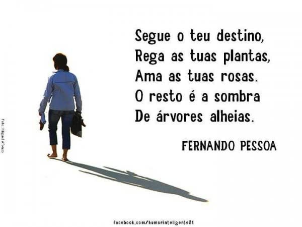 Frases De Fernando Pessoa